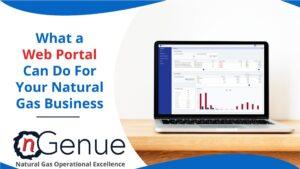 What a Web Portal can do for your Natural Gas Business