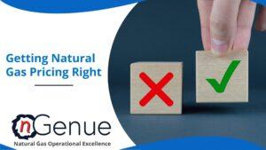 Getting Natural Gas Pricing Right