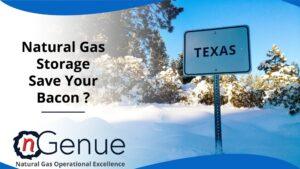 Natural Gas Storage Save Your Bacon?
