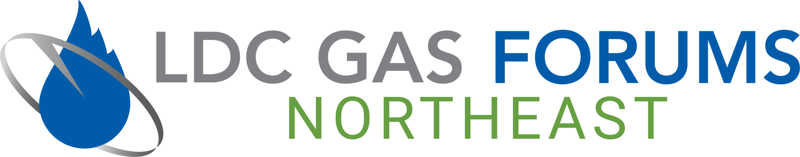LDC Gas Forum Northeast